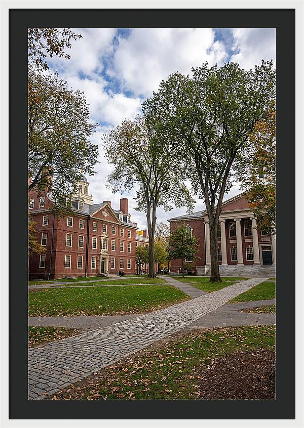 Harvard Yard Serenity