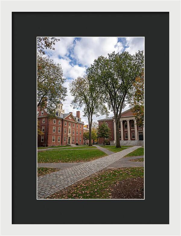 Harvard Yard Serenity