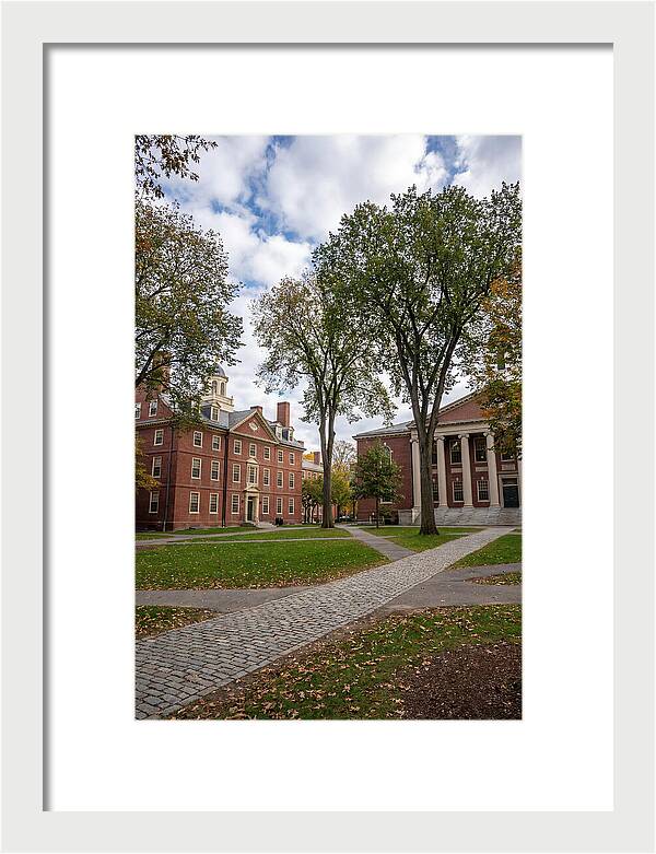 Harvard Yard Serenity