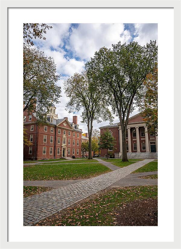 Harvard Yard Serenity