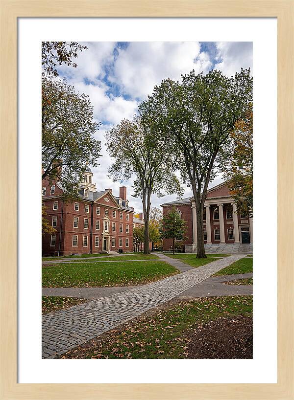 Harvard Yard Serenity