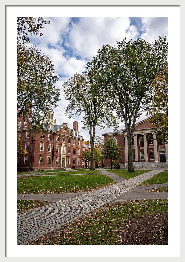 Harvard Yard Serenity