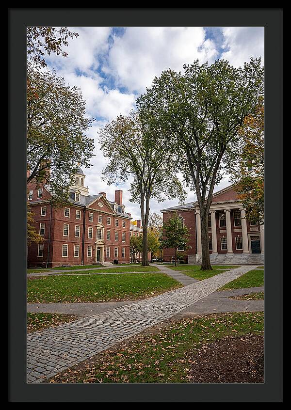 Harvard Yard Serenity
