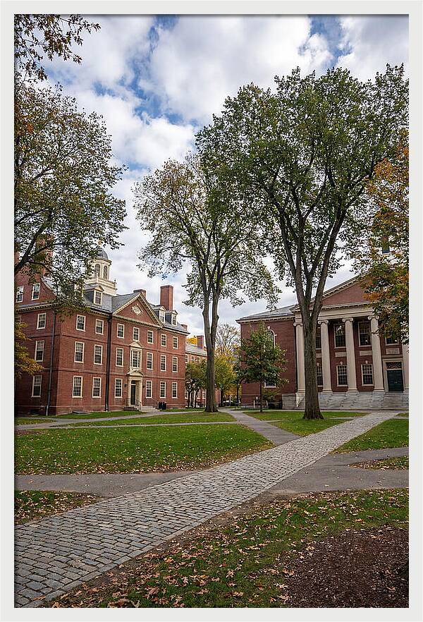 Harvard Yard Serenity