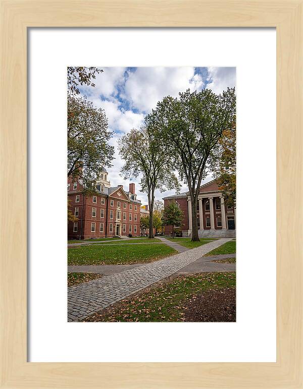 Harvard Yard Serenity