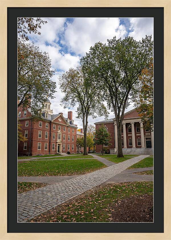 Harvard Yard Serenity