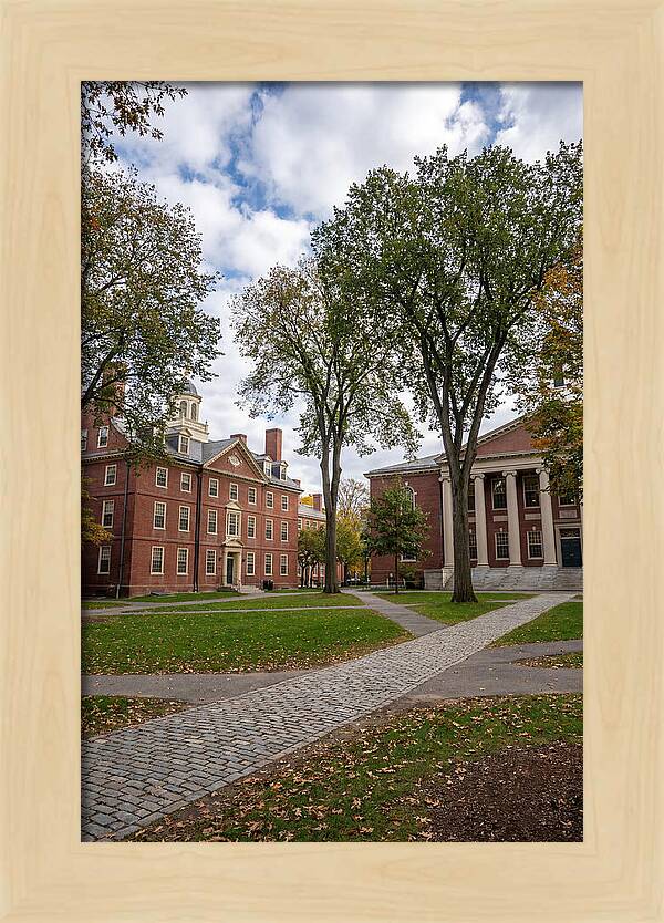 Harvard Yard Serenity