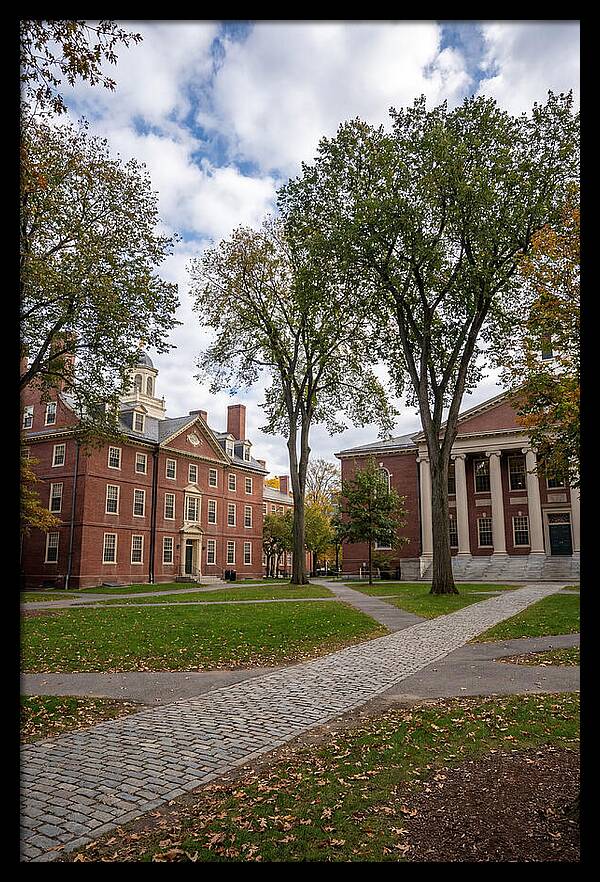 Harvard Yard Serenity