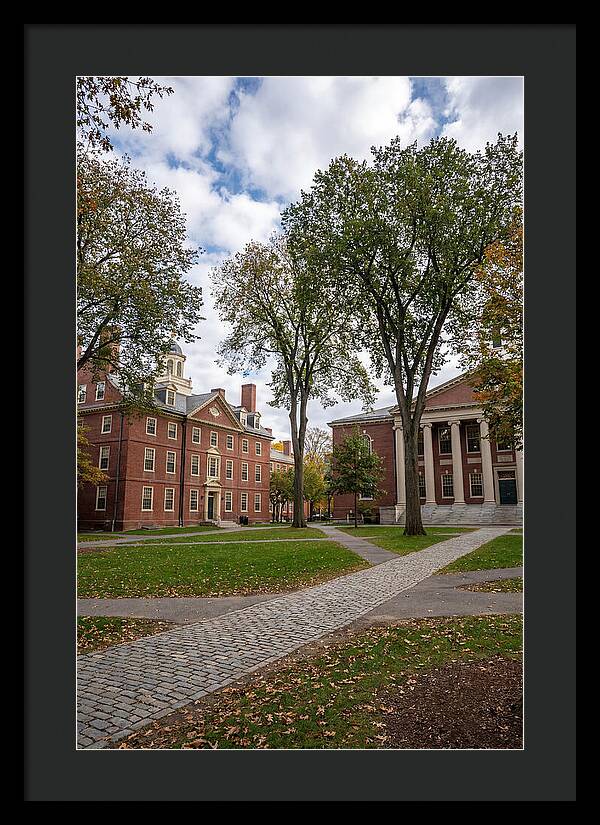 Harvard Yard Serenity