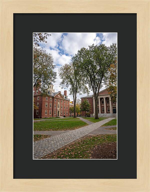 Harvard Yard Serenity