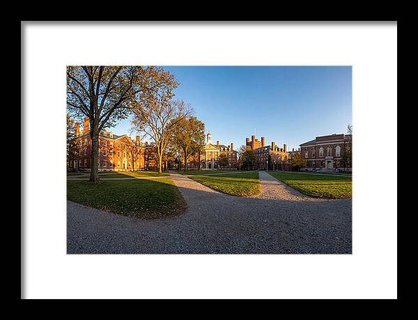 Harvard Yard Tranquility