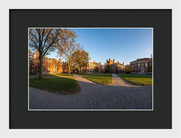 Harvard Yard Tranquility