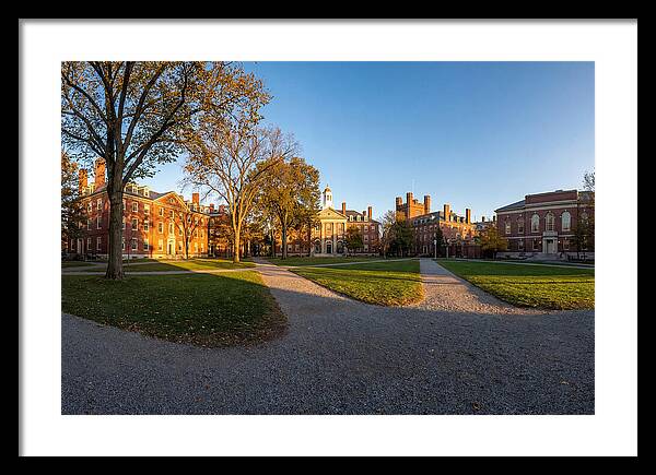 Harvard Yard Tranquility