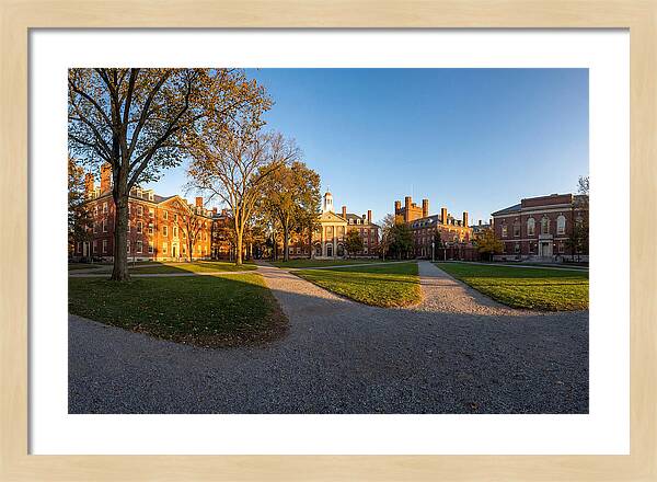 Harvard Yard Tranquility