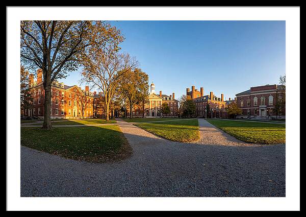Harvard Yard Tranquility
