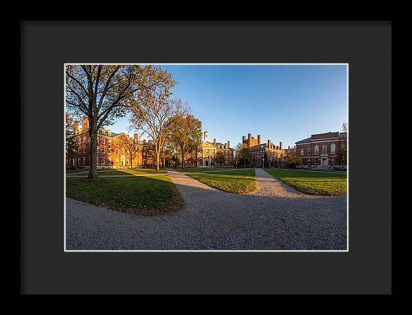 Harvard Yard Tranquility