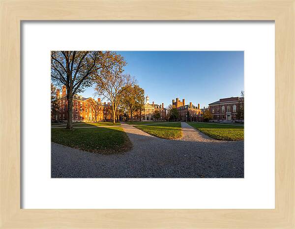 Harvard Yard Tranquility