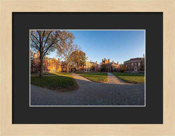 Harvard Yard Tranquility