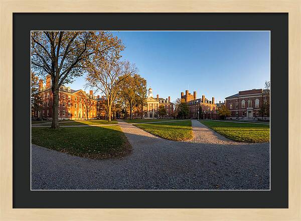 Harvard Yard Tranquility