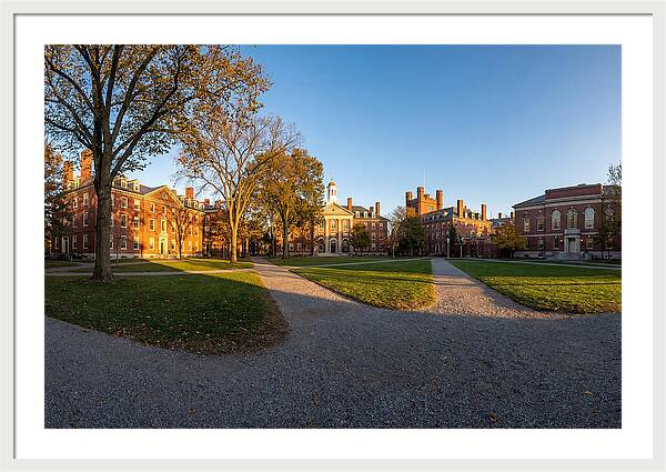 Harvard Yard Tranquility