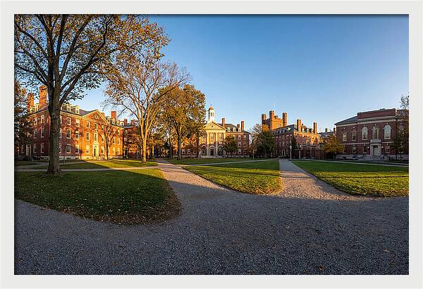 Harvard Yard Tranquility