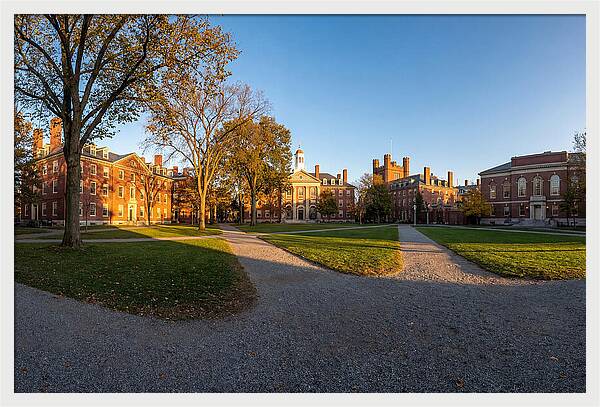 Harvard Yard Tranquility