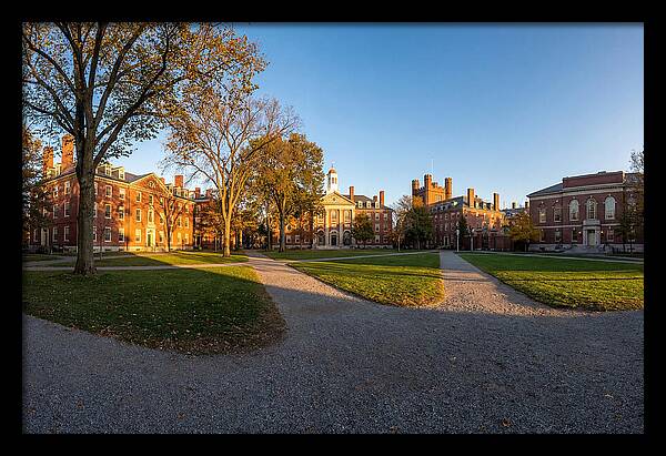 Harvard Yard Tranquility