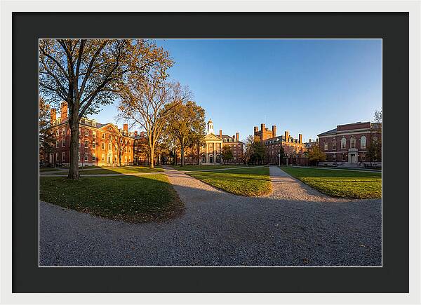 Harvard Yard Tranquility