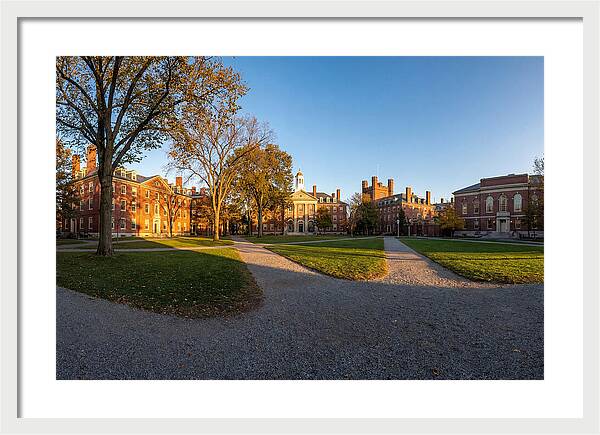 Harvard Yard Tranquility