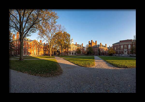 Harvard Yard Tranquility