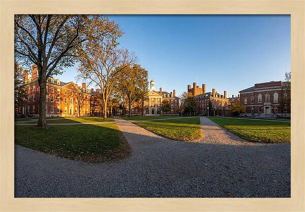 Harvard Yard Tranquility