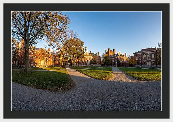 Harvard Yard Tranquility