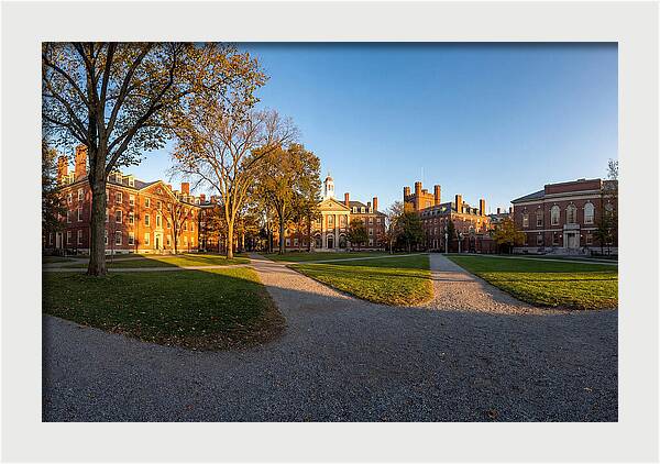 Harvard Yard Tranquility