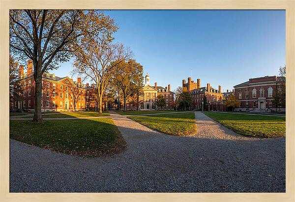 Harvard Yard Tranquility