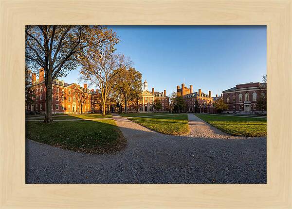 Harvard Yard Tranquility