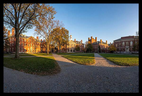 Harvard Yard Tranquility
