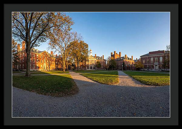 Harvard Yard Tranquility