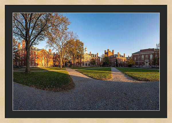 Harvard Yard Tranquility