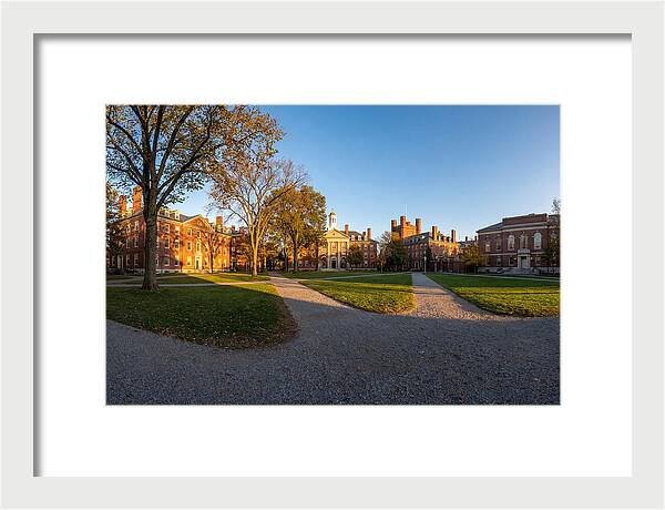 Harvard Yard Tranquility