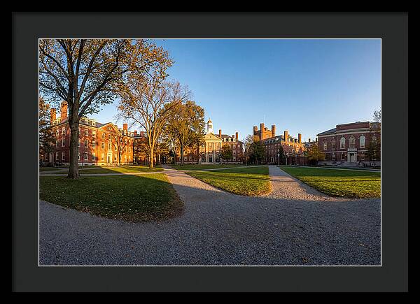 Harvard Yard Tranquility