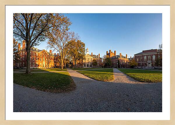 Harvard Yard Tranquility