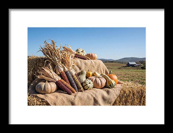 Harvest Arrangement With Corn And Squash