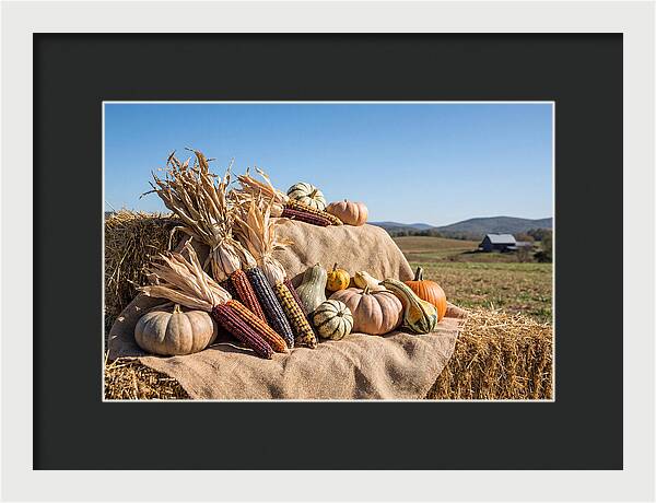 Harvest Arrangement With Corn And Squash