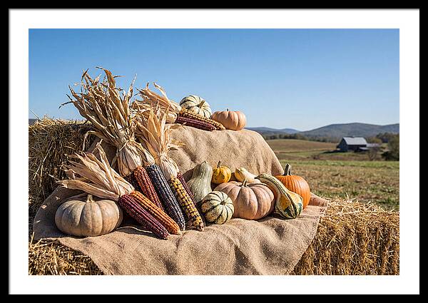 Harvest Arrangement With Corn And Squash