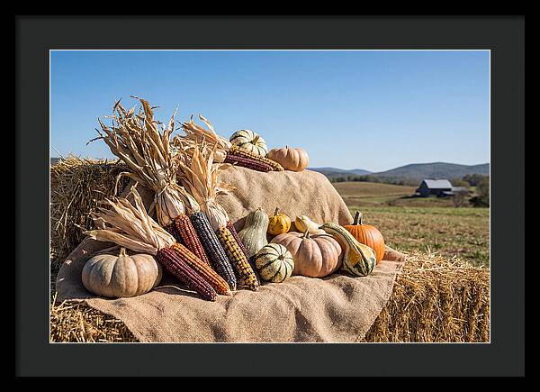 Harvest Arrangement With Corn And Squash