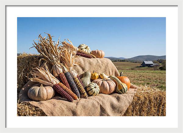 Harvest Arrangement With Corn And Squash