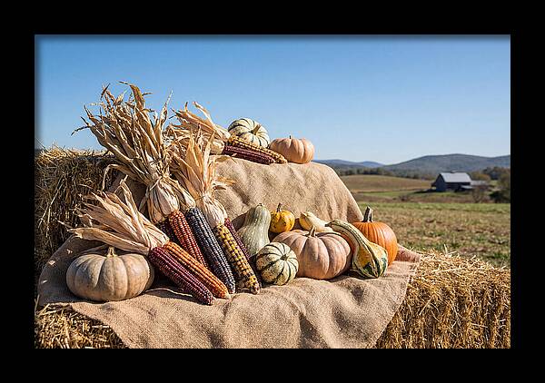 Harvest Arrangement With Corn And Squash
