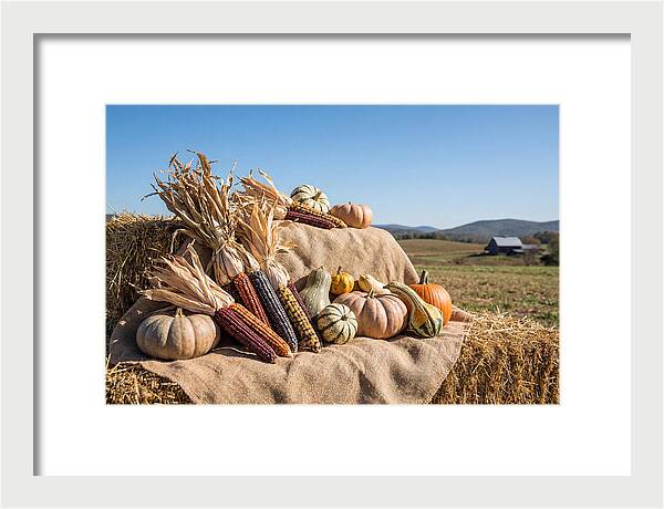 Harvest Arrangement With Corn And Squash