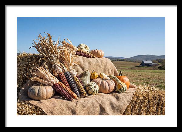 Harvest Arrangement With Corn And Squash