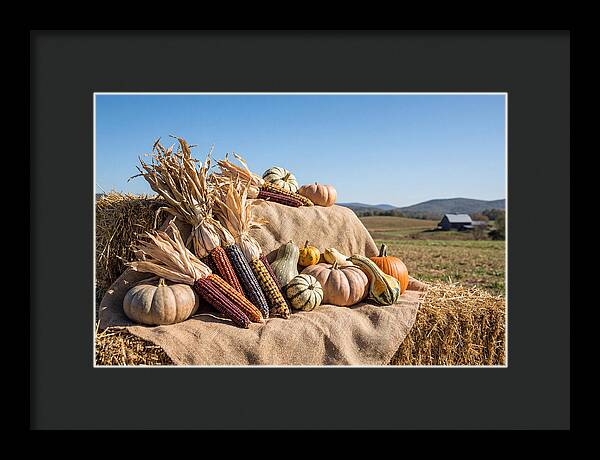 Harvest Arrangement With Corn And Squash